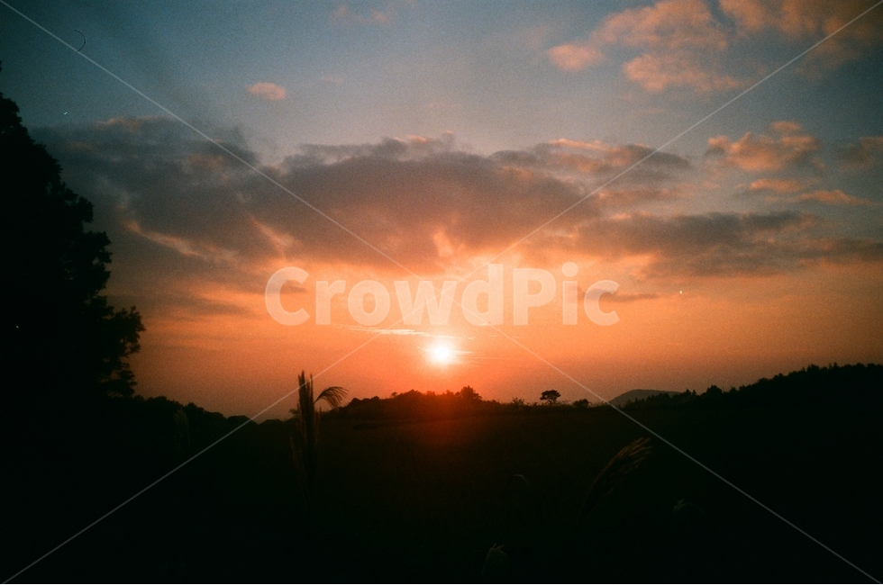 해질녘,노을,억새밭,구름,하늘,풀밭,제주,필름사진,나무,숲,자연,풍경,nature,landscape,실루엣,그림자,silhouette,shadow,감성,sensible,feeling,색깔,색상,색채,색감,color sense,color sensitivity,feeling of color,flare,플레어,light,빛,sunlight,햇빛,outdoors,옥외,dusk,황혼,sunset,일몰,dawn,새벽,sky,red sky,붉은 하늘