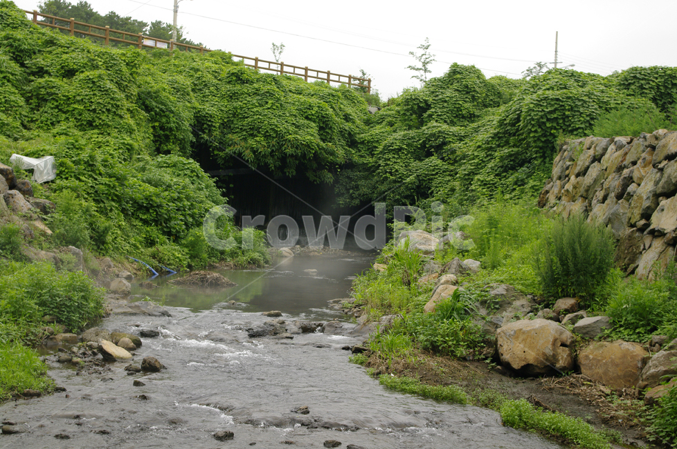 하천,풍경,식물,강,바위,자연,풍경,nature,landscape,outdoors,옥외