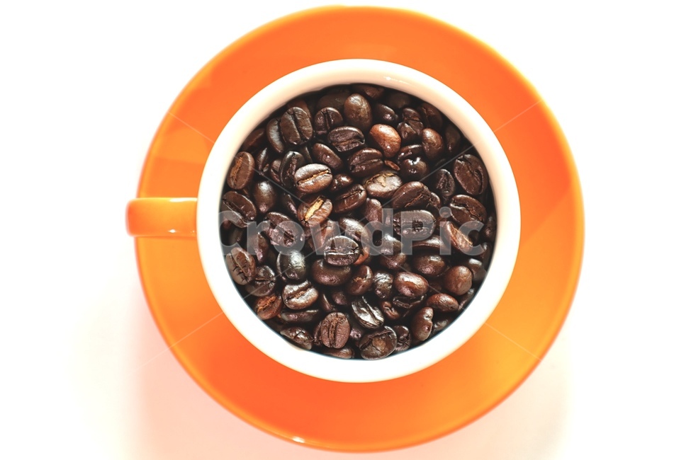 plant,cup,컵,coffeecup,커피컵,식물,커피,카페,coffee,cafe