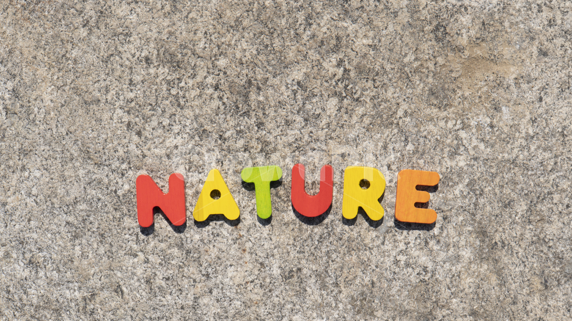 nature,자연,알파벳,워드,word,글자배경,자연배경,영어교구