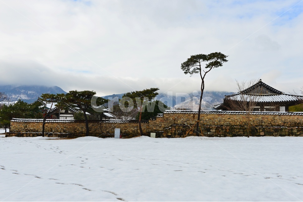 전남,순천,낙안읍성,낙안읍성설경,겨울,계절,운해,설경,nature,초가지붕,초가집,민속마을,낙안읍성민속마을,자연,outdoors,옥외,housing,주택,hut,오두막,rural,농촌,human,인간,person,사람,plant,식물,tree,나무,겨울,계절,winter,season,시골,마을,풍경,landscape,country,rural,town,한국전통,한국문화,korean traditional,korean culture