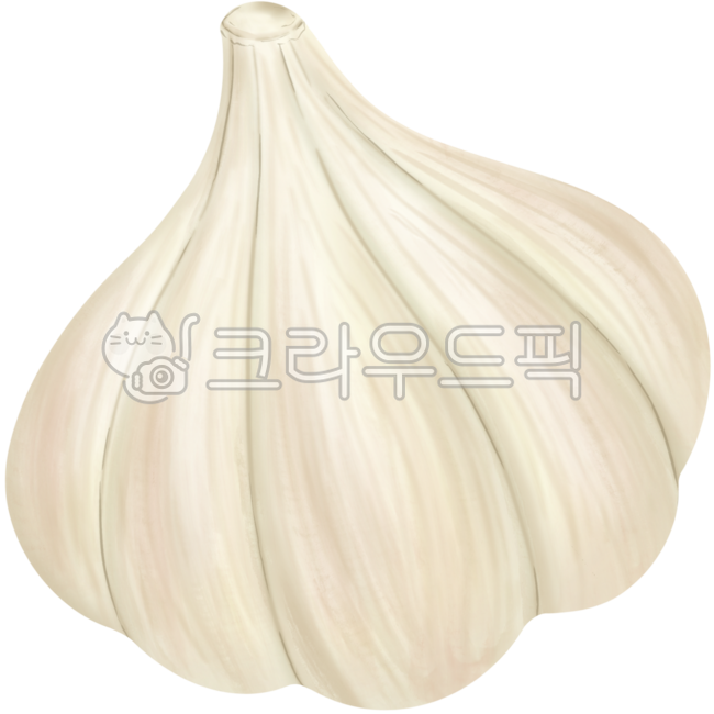 마늘,garlic,야채,통마늘,채소,깐마늘,다진마늘,wholegarlic,음식,재료,food,spicy,pungent,garlicillustration,알싸한,요리,양념,조미료,생강,건강,식물,뿌리채소,마늘일러스트,마늘그림,마늘드로잉,마늘삽화,health,마늘밭,마늘요리,식재료,식자재,원재료,작물,쪽마늘,마늘빵,향신료,koreancuisine,한식,매운