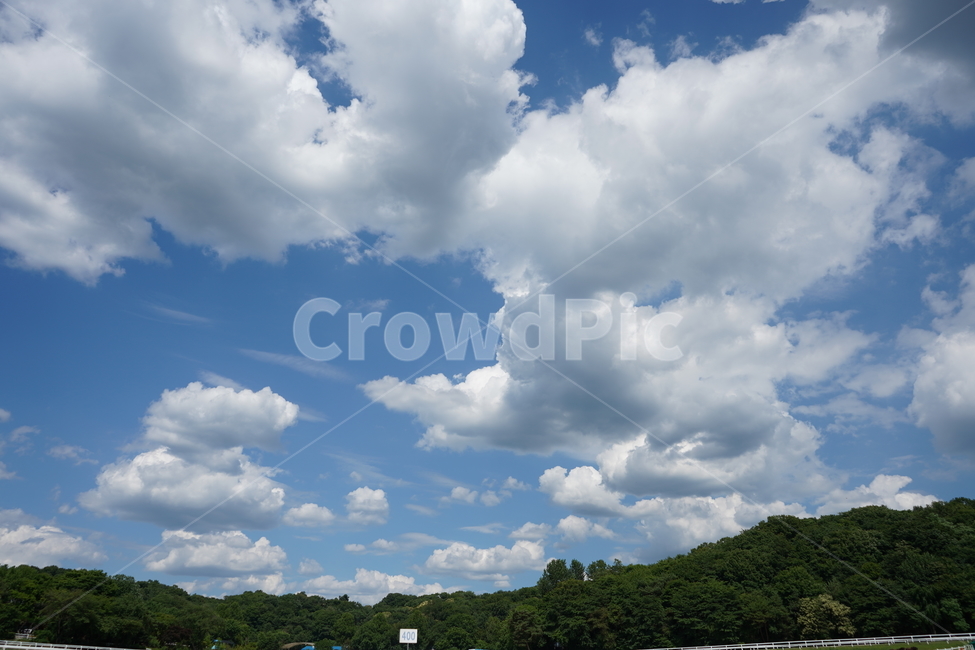 하늘,sky,날씨,자연,풍경,자연,풍경,nature,landscape,outdoors,옥외,weather,cumulus,적운,cloud,구름