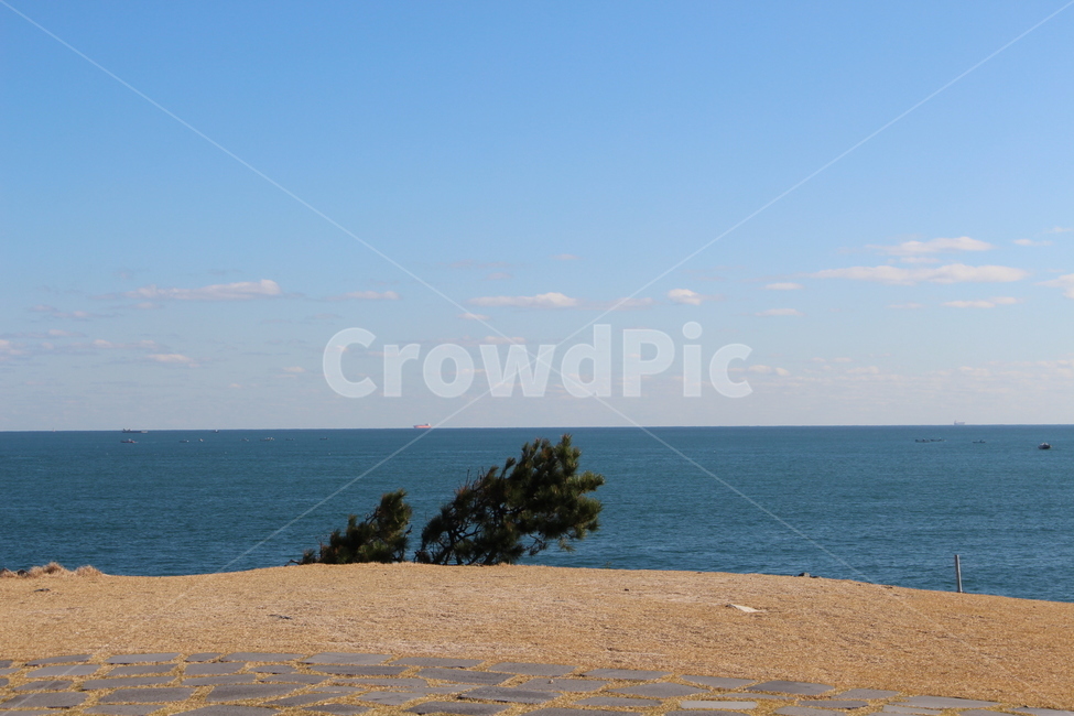 shoreline,해안선,water,물,nature,자연,outdoors,옥외,land,나라,ocean,대양,sea,바다
