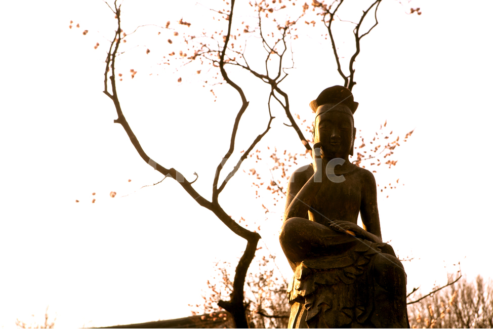 봉은사,풍경,노을,봄,매화,봄꽃,조각상,동상,석상,조형물,statue,bronze statue,stone statue,종교,신앙,religion,belief,faith