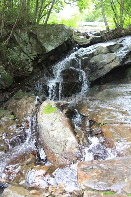 가을,폭포,낙엽,풍경,바위,물,자연,풍경,nature,landscape,water,outdoors,옥외,river,강