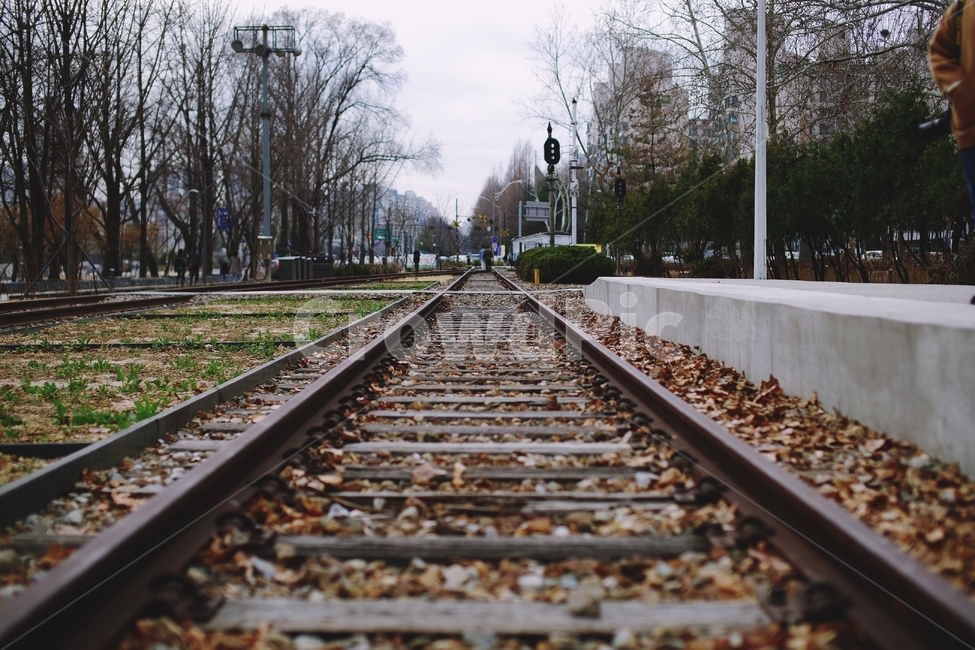 철길,열차,폐열차,폐역,간이역,station,train,하늘,sky,rail,railway,교통,교통수단,traffic,transportation,레일,train track,기찻길,철도