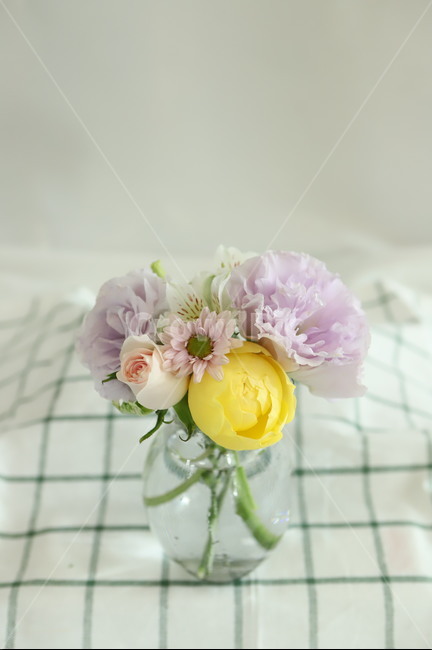 plant,flower,blossom,feeling,sensible,nature,식물,꽃,자연,색감,색깔,색채,시즌,감성사진,힐링,감성,배경,봄,꽃꽂이,장미,카탈리나,리시안셔스,체크테이블보,알스트로메리아,유리병,꽃병,근접,접사,체크,vase,실내용화초,화분,화초,house plant