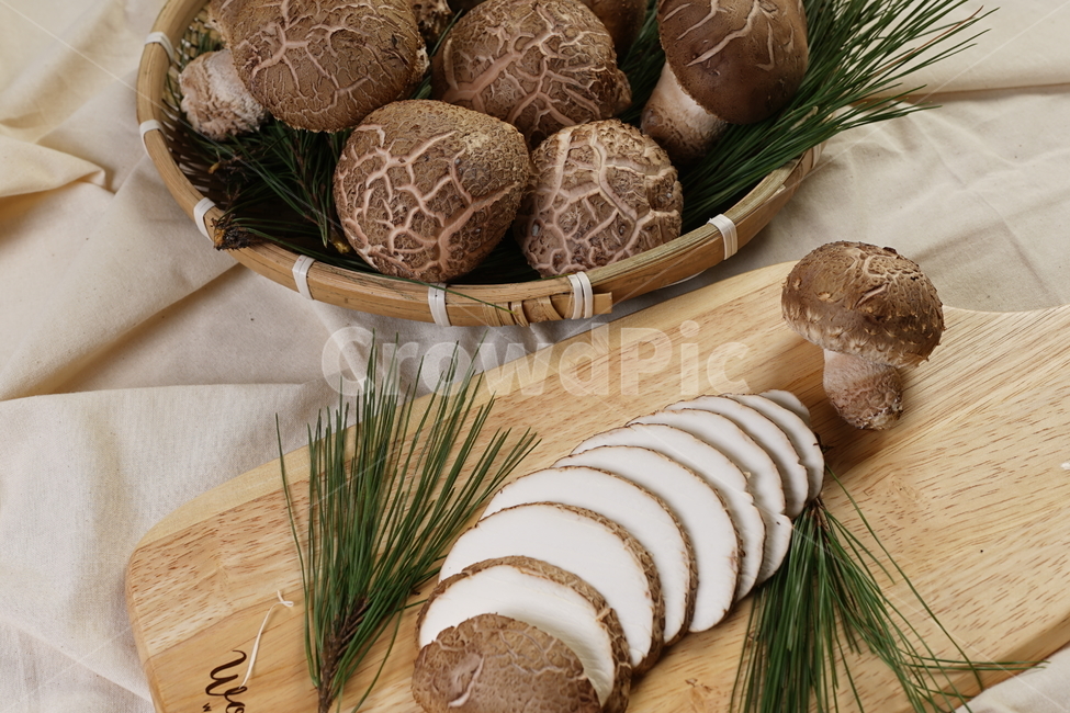 식물,plant,송화,버섯,요리,재료,버섯,mushroom,음식,식재료,요리,food,cook,meal,dishes,food reserves