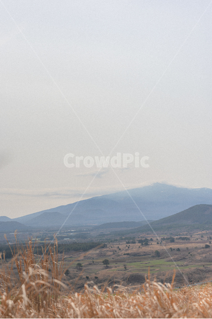제주,한라산,제주도,구름,하늘,초원,나무,산,cloud,sky,tree,nature,mountain,grass,휴식,rest,relaxation,grassland,목초지,field,들,옥외,outdoors,자연