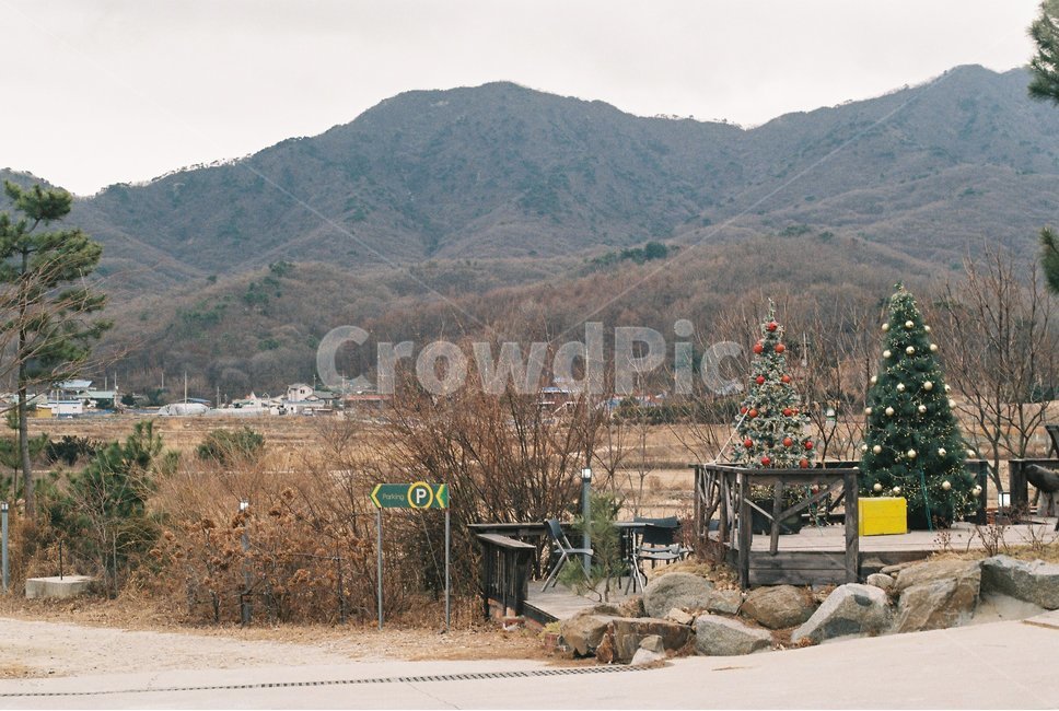 시골,풍경,트리,감성,필름,겨울,산,자연