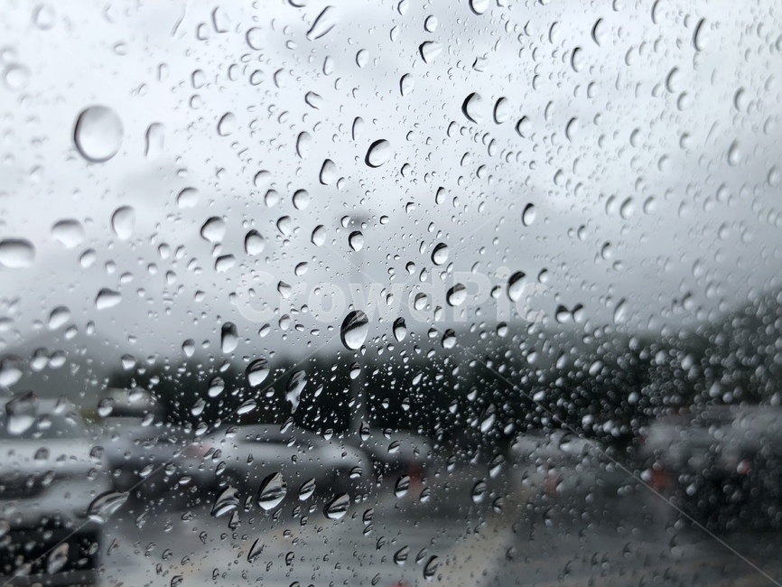 비,창문,물,물방울,빗방울,rain,car,비,비오는날,rain,rainy