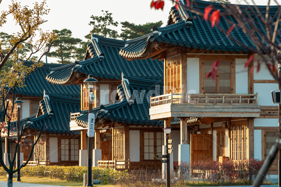 한옥,감성,건물,building,건축물,architecture,지붕,한국전통,한국문화,korean traditional,korean culture,건축물,건물외관,exterior,building,structure,architecture,construction