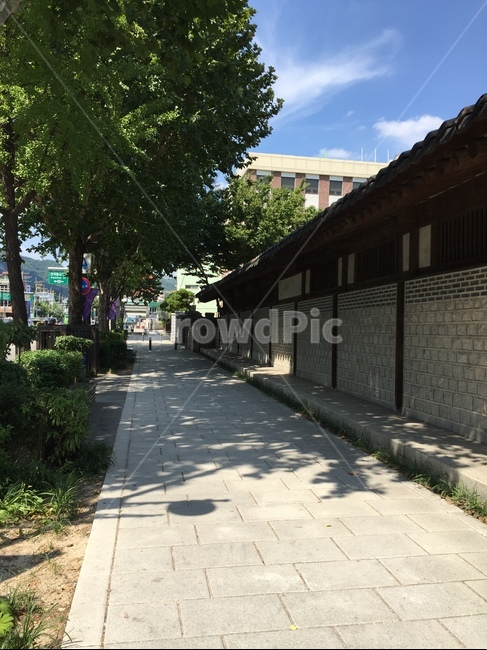 고궁,건축,문화유산,문화재,궁궐
