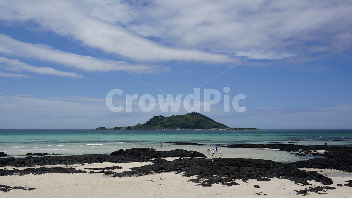 바다,sea,water,물,shoreline,해안선,coast,연안,nature,자연,제주도,jeju,섬,island