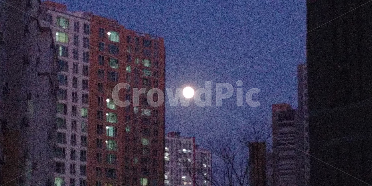 집앞,하늘,건물사이,보름달,밤