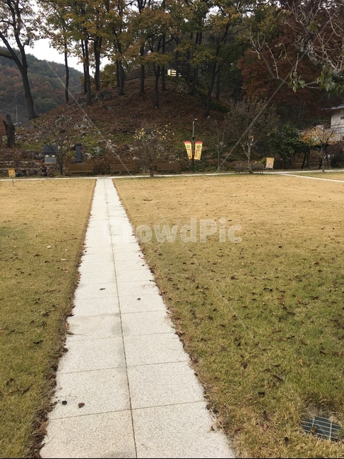 path,통로,잔디,마당,자연,자연,풍경,nature,landscape