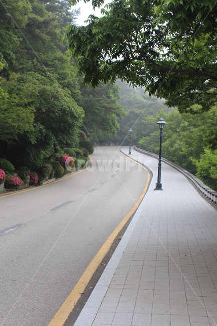 커브길,산책로,태종대,수목로,밝은산책로,가로등,자연,풍경,nature,landscape,road,도로