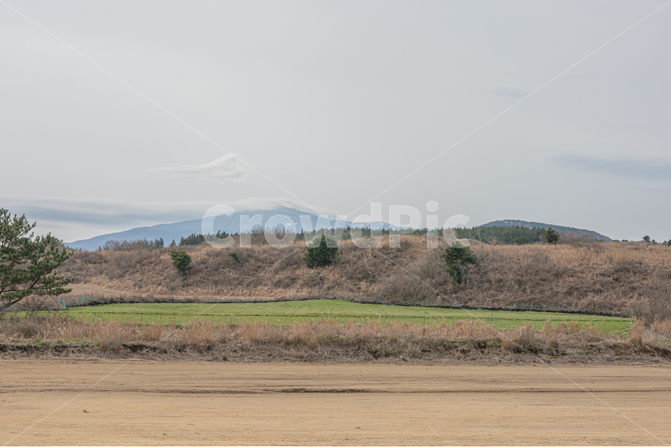 제주,한라산,제주도,구름,하늘,초원,나무,산,cloud,sky,tree,nature,mountain,grass,휴식,rest,relaxation,grassland,목초지,field,들,옥외,outdoors,자연