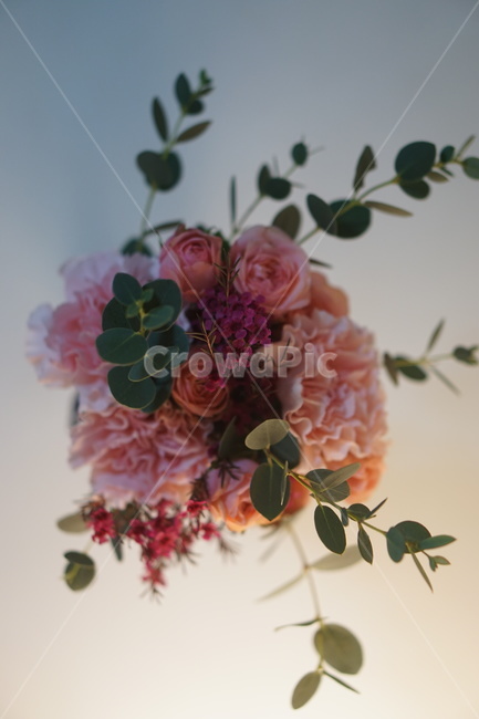 꽃,꽃말리기,floraldesign,flowerarrangement,blossom,핸드부케,식물,plant,꽃,flower