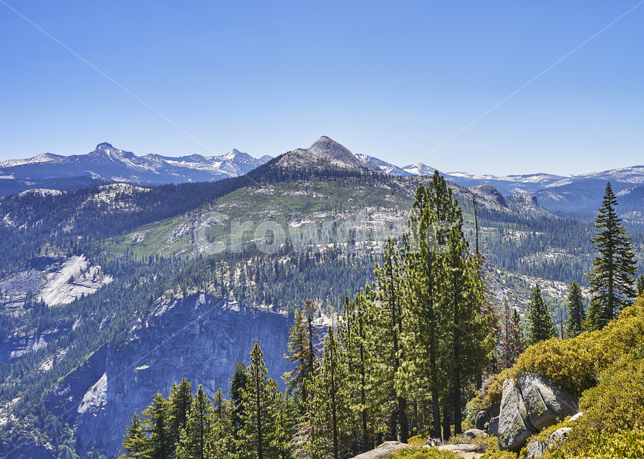 yosemite,요세미티,국립공원,나무,산,풍경,하늘,공원,전망,파노라마,힐링,휴식,자연,풍경,nature,landscape,해외,외국,세계,foreign,oversea,world,세계자연풍경,해외자연풍경,외국자연풍경,world nature landscape,tree,plant,식물,fir,전나무,abies,아비