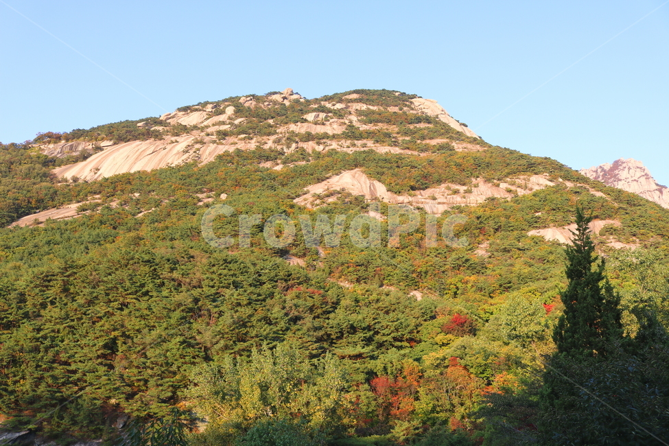 북한산,산,자연,풍경,나무,식물,원효봉,공원,국립공원,북한산국립공원,등산로,산책로,자연,풍경,nature,landscape