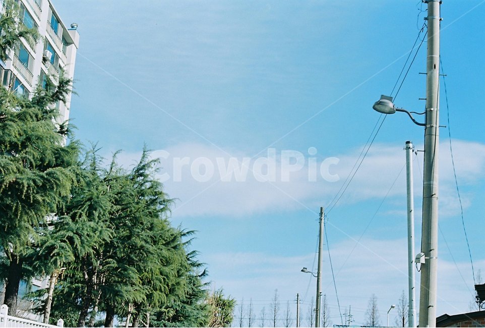 하늘,구름,파스텔톤,나무,알록달록,전봇대,도시,풍경,city,landscape,감성,sensible,feeling,색깔,색상,색채,색감,color sense,color sensitivity,feeling of color
