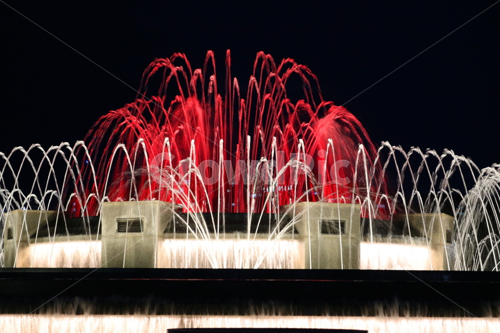 분수대,분수,물,야경,밤,풍경,빛,야경,밤,풍경,nightscape,night,landscape,water,fountain
