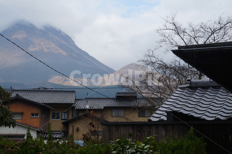 roof,지붕,산,경치,풍경,기와