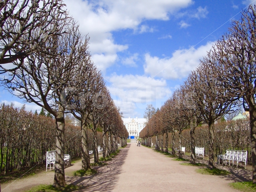 유럽,러시아,여행,세계,공원,Europe,Russia,궁전,세계여행,외국,해외,랜드마크,landmark,tourist attraction,해외,외국,세계,foreign,oversea,world,세계랜드마크,해외랜드마크,외국랜드마크,world landmark,world tourist attraction,식물,자연,plants,nature,나무,trees,wood,garden,정원,outdoors,옥외