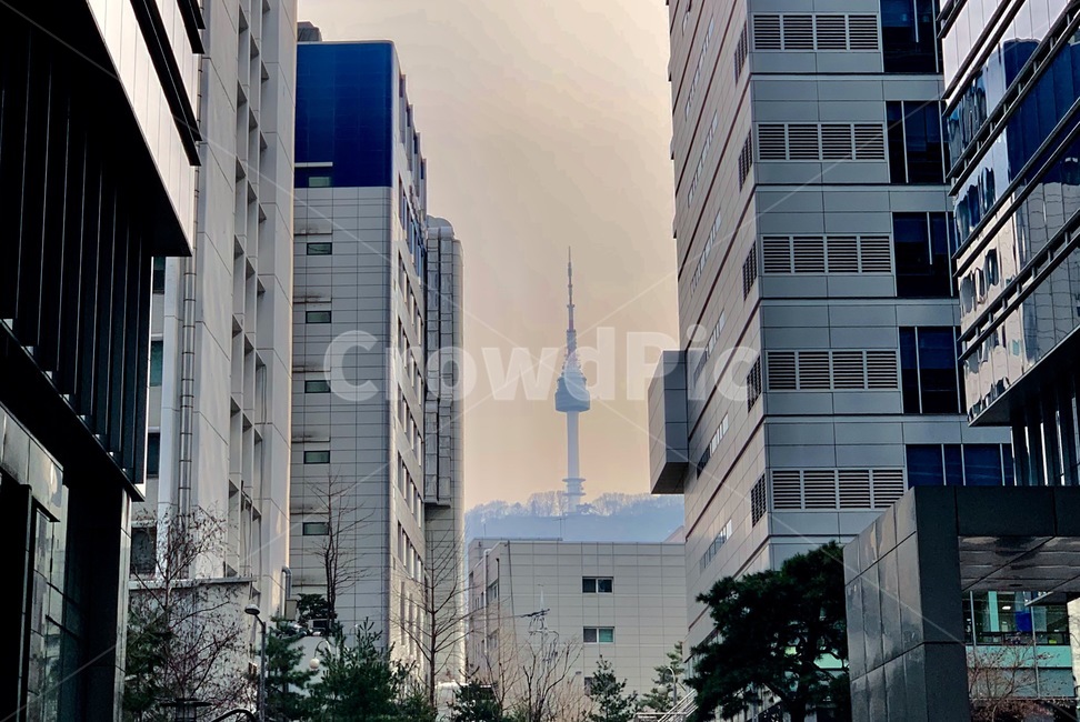 남산타워,남산,도시,서울,도심,도시풍경,건물,건축물,랜드마크,도시,풍경,city,landscape,한국도시풍경,한국도시경관,korea cityscape,랜드마크,landmark,tourist attraction,한국랜드마크,한국관광지,한국명소,korea landmark,korea tourist attraction,office building,사무실 건물,building