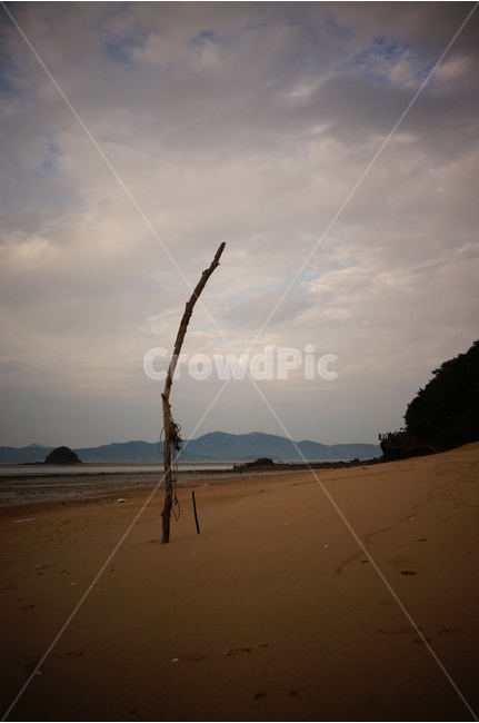 서해,서해바다,배,바다,나무,고목,하늘,흐린하늘,자연,풍경,nature,landscape,해변,바다,beach,sea,soil,흙,sand,모래,outdoors,옥외,dune,모래 언덕,desert,사막