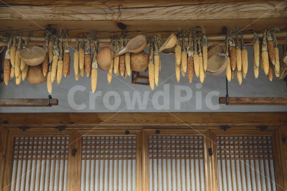 옥수수,농촌,처마,농사,씨앗,곡식,박,시골,자연,한국전통,한국문화,korean traditional,korean culture,음식,식재료,요리,food,cook,meal,dishes,food reserves