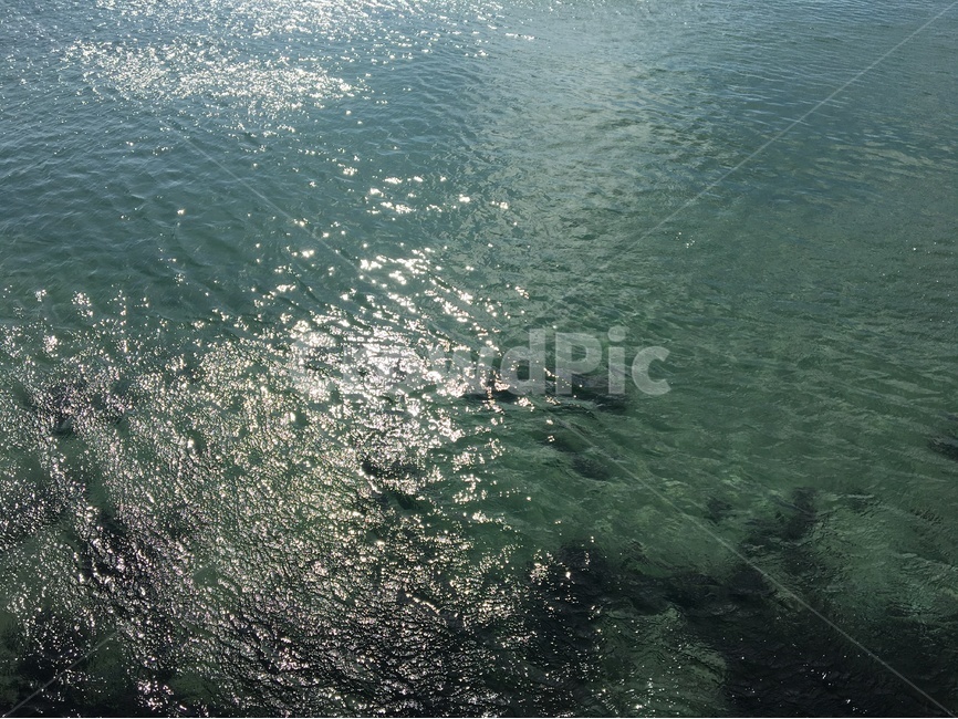 제주,바다,강,투명,온기,겨울,자연,풍경,nature,landscape,outdoors,옥외,water,물