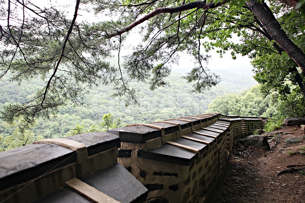 남한산성,성,성곽,길,둘레길,벽,숲,숲길,담,돌담,여름,풍경