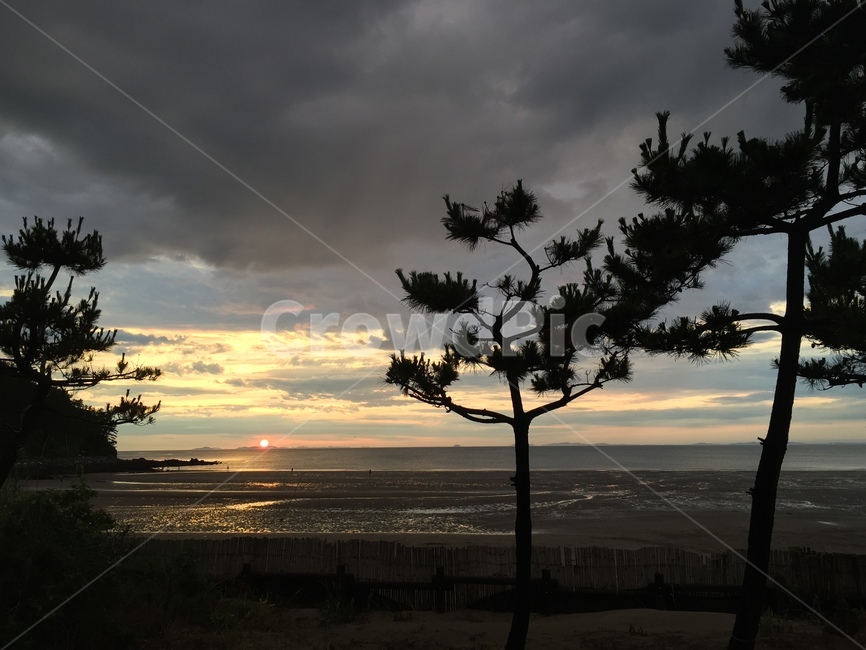 석양,풍경,노을,하늘,감성,자연,풍경,nature,landscape,tree,나무,plant,식물,outdoors,옥외