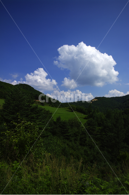 식물,풍경,하늘,초록,여름,자연,nature,날씨,구름,cloud,자연,풍경,nature,landscape