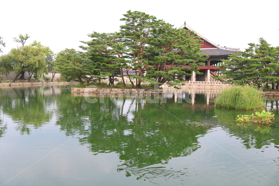 경복궁,팔각정,연못,광화문,나무,물,서울,한국전통,한국문화,korean traditional,korean culture,랜드마크,landmark,tourist attraction,한국랜드마크,한국관광지,한국명소,korea landmark,korea tourist attraction