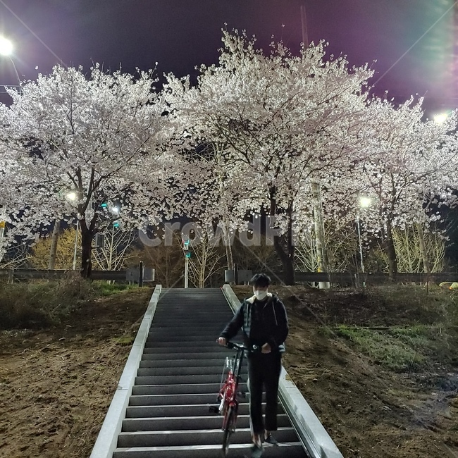 자전거,산책,안양천,힐링,여행