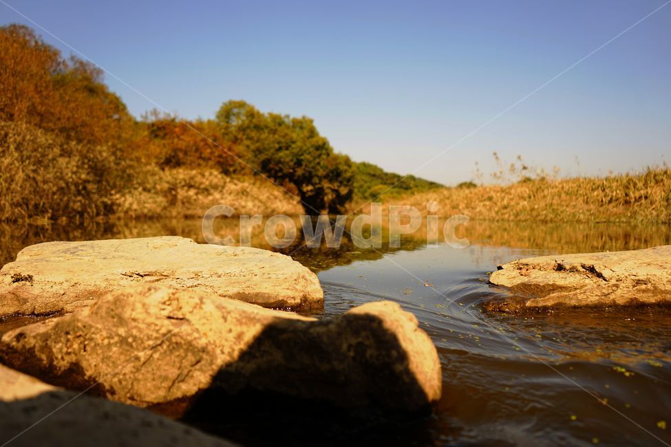 호수,돌,바위,나무,물,자연,풍경,nature,landscape,water,outdoors,옥외