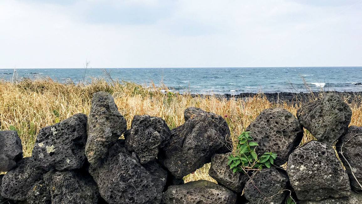 제주도,제주,돌담길,현무암,돌담,rock,록,rubble,파편,바다,basalt,jeju,sea,제주도,jeju,jeju island