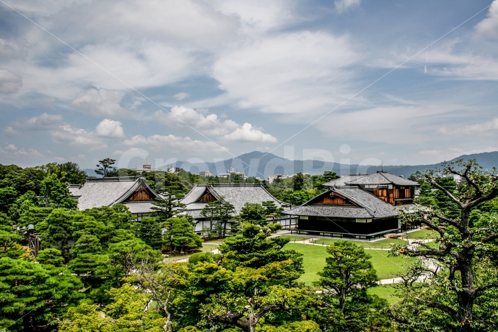 일본,교토,니조조,정원,문화재,풍경,해외,외국,세계,foreign,oversea,world,랜드마크,landmark,tourist attraction