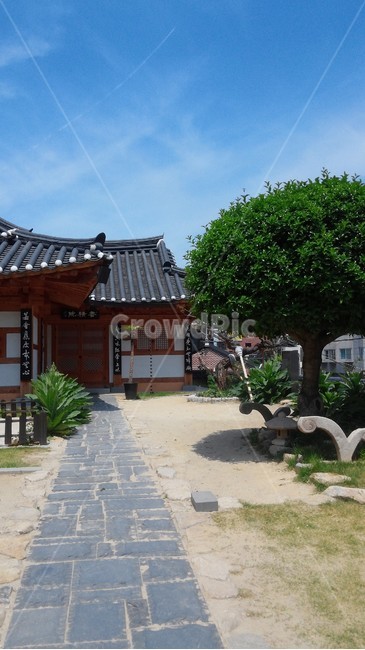 군산동국사,절,맑음,하늘,화창