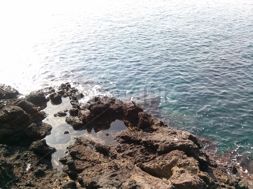 울릉도,대한민국,동해,바다,하늘,southkorea,eastsea,blue,wave,ulleungdo,dokdo,sky,nature
