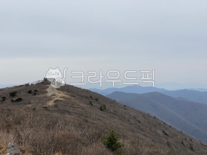 태백산,정상,장군봉,천제단,백두대간,등산,산,태백,자연