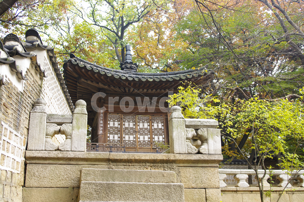 창덕궁,창덕궁후원,농수정,고궁,건축,전통건축,traditional,전통,가을,fall,나무,식물,plant,단풍,가을,계절,fall,autumn,season,한국전통,한국문화,korean traditional,korean culture,건축물,건물외관,exterior,building,structure,architecture,construction