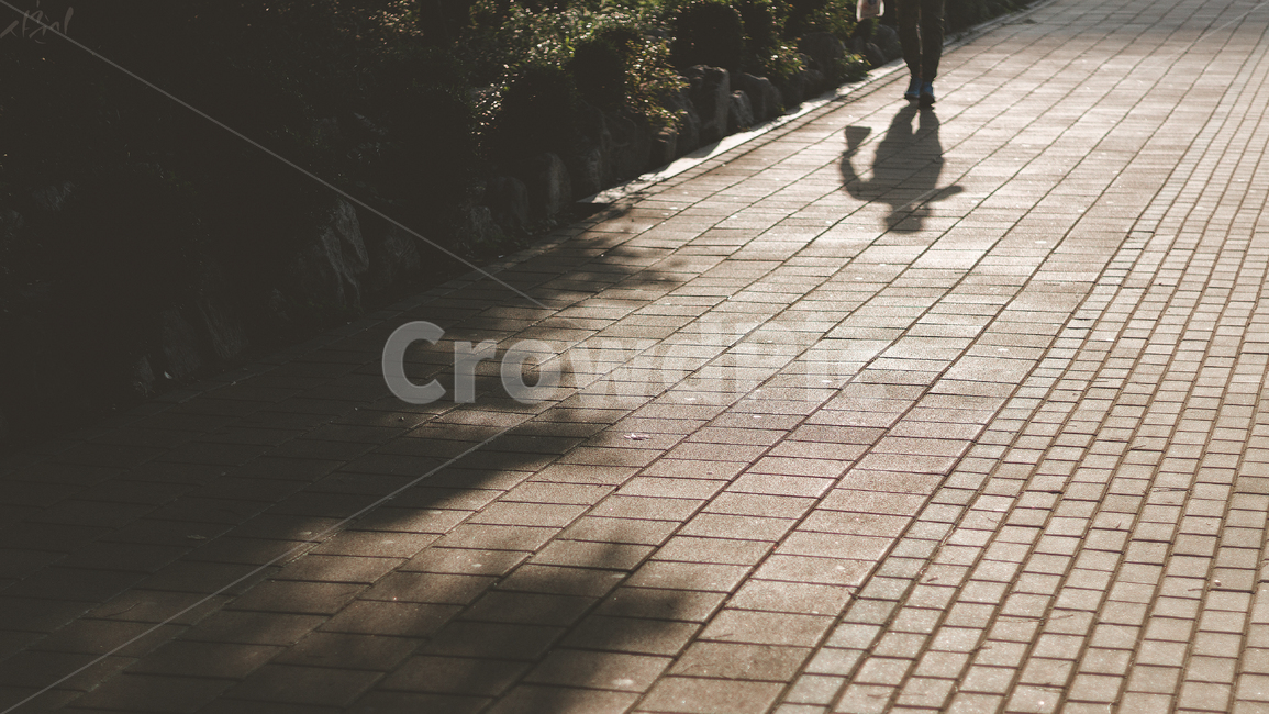 walkway,path,통로,보도,sidewalk,포장,pavement,그림자,shadow,감성