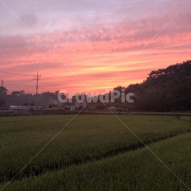 시골,밭,노을,산,구름,자연,풍경,nature,landscape,outdoors,옥외,field,들,grassland,목초지