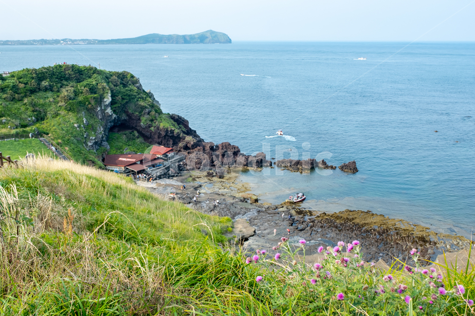 제주,제주도,성산일출봉,풍경,아름다운풍경,바다,섬,nature,land,jeju,경치,자연,올레길,바닷가,절벽,풀,들판,곶,자연,풍경,nature,landscape,제주도,jeju,jeju island,promontory