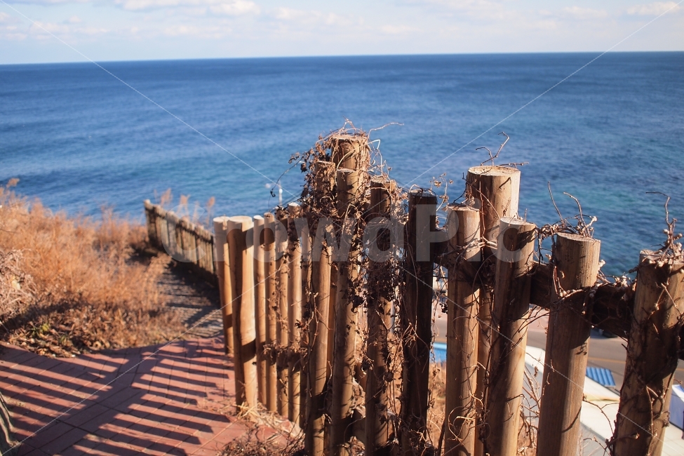 바다,수평선,동해,난간,울타리,겨울,자연,풍경,nature,landscape,한국자연풍경,한국자연경관,korea nature landscape,감성,sensible,feeling,handrail,banister,wood,나무